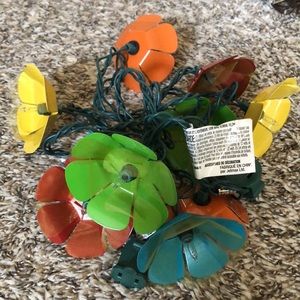 Decorative Outfit Indoor/Outdoor Lights!
